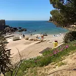 A Cha Cha Cha - * Bandol
