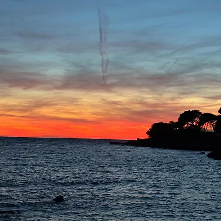 A Cha Cha Cha - Casa vacanze Bandol