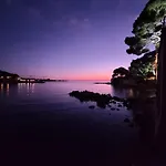 A Cha Cha Cha - 邦多勒