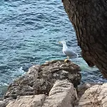A Cha Cha Cha - 度假居
