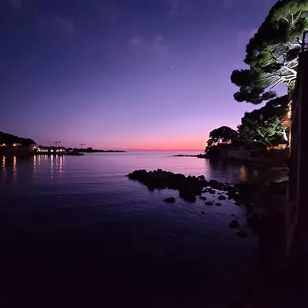 A Cha Cha Cha - Bandol