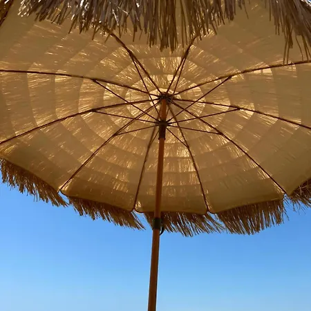 A Cha Cha Cha - Bandol