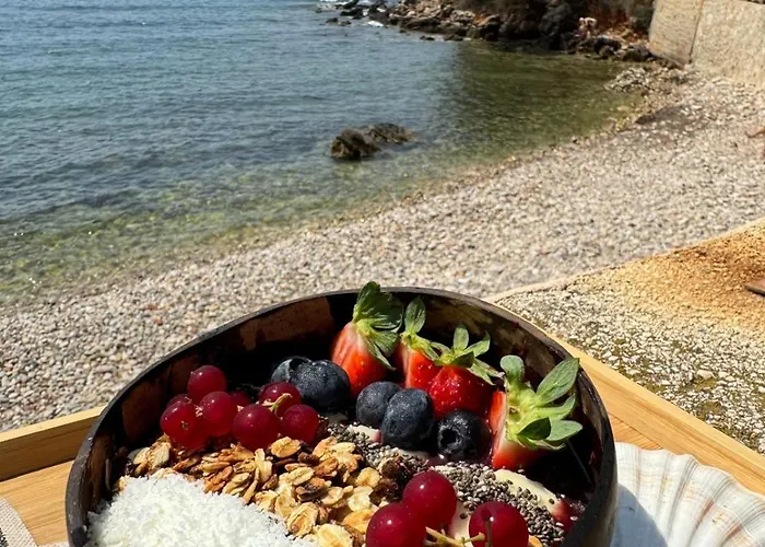 Tatil Evi A Cha Cha Cha - Bandol