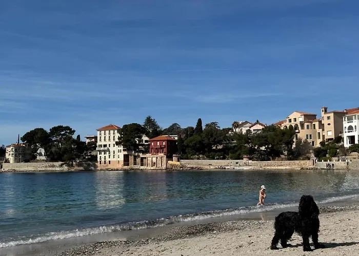A Cha Cha Cha - Prázdninový dům